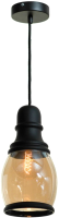 Потолочный светильник Lussole Loft GRLSP-9690 - 