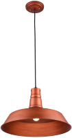 Потолочный светильник Lussole Loft GRLSP-9698 - 