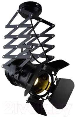 Потолочный светильник Lussole Loft GRLSP-9702