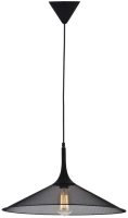 Потолочный светильник Lussole Loft GRLSP-9813 - 