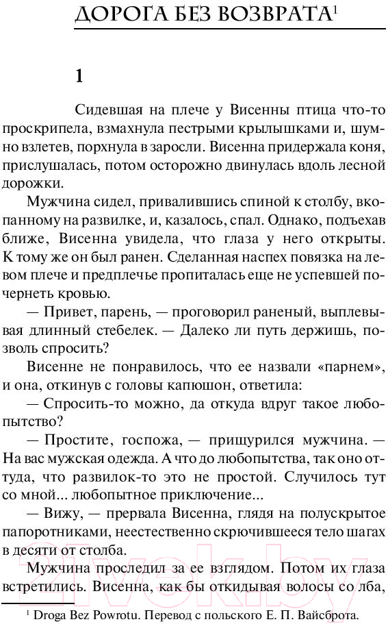Художественная книга АСТ Ведьмак. Дорога без возврата (Сапковский А.) — фото 4