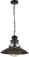 Потолочный светильник Lussole Loft Ketchikan GRLSP-8029 - 