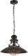 Потолочный светильник Lussole Loft Ketchikan GRLSP-8029 - 