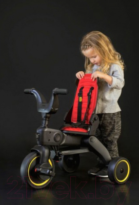 Трехколесный велосипед с ручкой Simple Parenting Doona Liki Trike S1 (Flame Red)