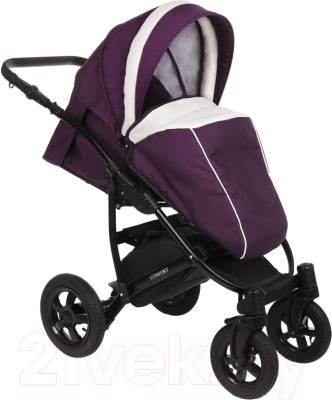 Детская универсальная коляска Pituso Confort 2 в 1 (темно-фиолетовый/кожа белый)
