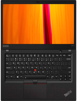 Ноутбук Lenovo ThinkPad T490s (20NX001QRT)