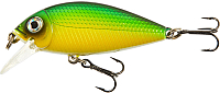 Воблер Lucky John Shad Craft F 07.00/A037 / LJO1107F-A037 - 