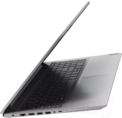 Ноутбук Lenovo IdeaPad L3 15IML05 (81Y300A5RE)