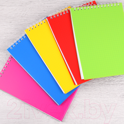 Изображение товара Блокнот Darvish DV-8098 (48л)