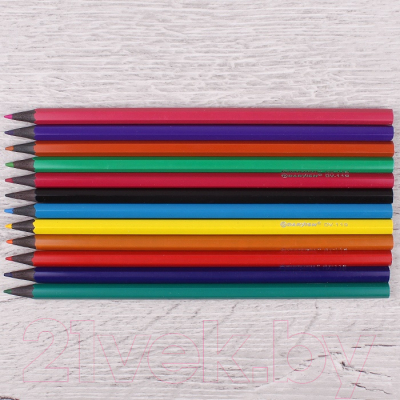 Набор цветных карандашей Darvish Жар-птица / DV-119-12 (12шт)