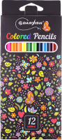 Набор цветных карандашей Darvish DV-8272-12 (12шт) - 