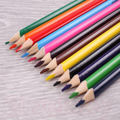 Набор цветных карандашей Darvish С точилкой / DV-8579-12 (12шт)