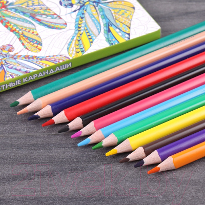 Набор цветных карандашей Darvish Стираемые / DV-11956 (12шт)
