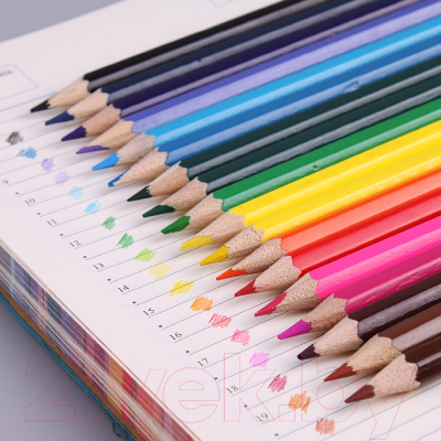 Набор цветных карандашей Darvish Девочки / DV-4801-18 (18шт)