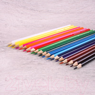 Набор цветных карандашей Darvish С точилкой / DV-8579-18 (18шт)
