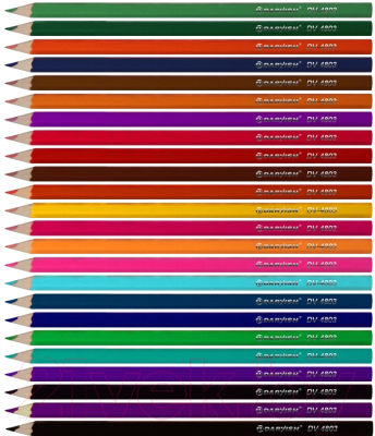 Набор цветных карандашей Darvish Веселое путешествие / DV-4803-24 (24шт)