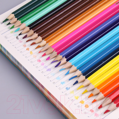 Набор цветных карандашей Darvish Веселое путешествие / DV-4803-24 (24шт)