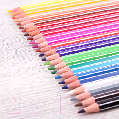 Набор цветных карандашей Darvish Зверята / DV-118-24 (24шт)