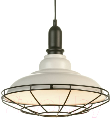 Потолочный светильник Lussole Loft GRLSP-9848