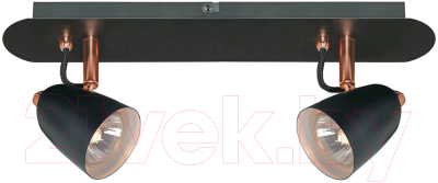 

Спот Lussole, Loft New Frontino GRLSP-9852