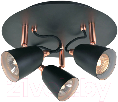 

Спот Lussole, Loft New Frontino GRLSP-9853