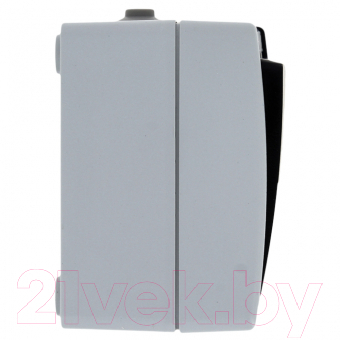 Блок выключатель+розетка КС Дабрабыт ОП 16А IP54 / 74845 (серый)