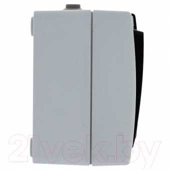 Блок выключатель+розетка КС Дабрабыт ОП 16А IP54 / 74844 (серый)