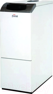 

Газовый котел Ferroli, Pegasus D 40 K 130