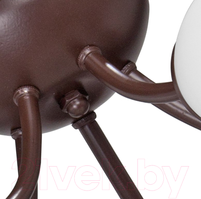 Изображение товара Люстра Vitaluce V3404/5PL