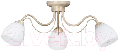

Люстра Vitaluce, V3598/3PL