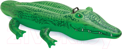 Надувная игрушка для плавания Intex Крокодил / 58546