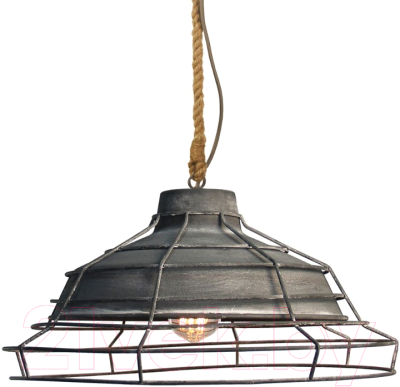 Потолочный светильник Lussole Loft GRLSP-9878