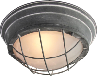 Потолочный светильник Lussole Loft GRLSP-9881 - 