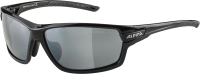 Очки солнцезащитные Alpina Sports Tri-Scray 2.0 / A86413-30 (черный) - 