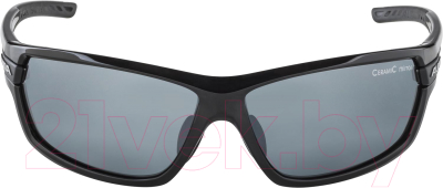 Очки солнцезащитные Alpina Sports Tri-Scray 2.0 / A86413-30 (черный)