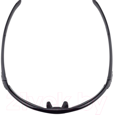 Очки солнцезащитные Alpina Sports Tri-Scray 2.0 HR / A86423-30 (черный)