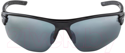 Очки солнцезащитные Alpina Sports Tri-Scray 2.0 HR / A86423-30 (черный)