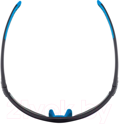 Очки солнцезащитные Alpina Sports Tri-Scray 2.0 HR / A86423-31 (черный матовый)