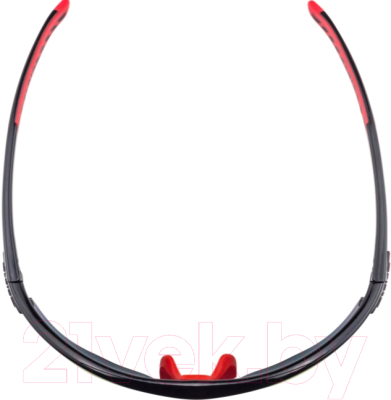 Очки солнцезащитные Alpina Sports Tri-Scray 2.0 HR / A86423-32 (черный/красный)