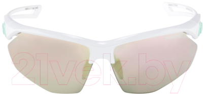 Очки солнцезащитные Alpina Sports Nylos HR / A86353-11 (белый)