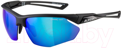 Очки солнцезащитные Alpina Sports Nylos HR / A86353-30 (черный)
