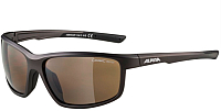 Очки солнцезащитные Alpina Sports Defey / A86453-20 (Tin Matt) - 