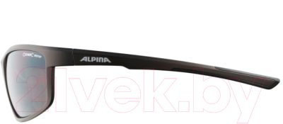 Очки солнцезащитные Alpina Sports Defey / A86453-20 (Tin Matt)