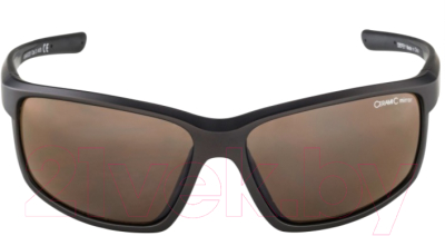Очки солнцезащитные Alpina Sports Defey / A86453-20 (Tin Matt)