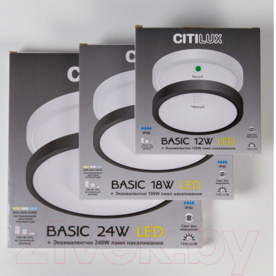 Потолочный светильник Citilux Бейсик CL738120N