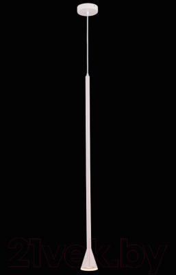 Потолочный светильник Maytoni Arrow P064PL-01W