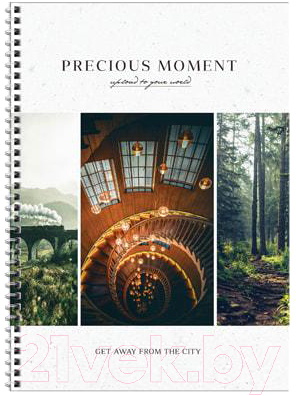 

Тетрадь ArtSpace, Стиль. Precious moments / Тт4к96гр_27570