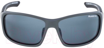 Очки солнцезащитные Alpina Sports Lyron P / A86285-25 (серый матовый)