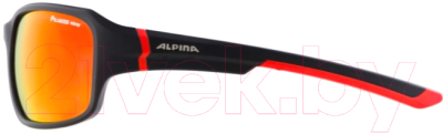 Очки солнцезащитные Alpina Sports Lyron P / A86285-31 (черный матовый)