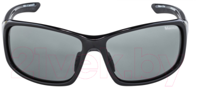Очки солнцезащитные Alpina Sports Lyron VL / A86291-31 (черный)